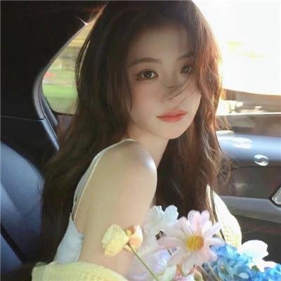 女贼金丝猫